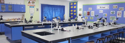 Biology